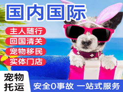 济南机场快运国际宠物托运 【国